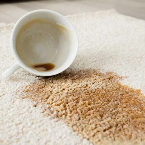 Area Rugs Care & Maintenance